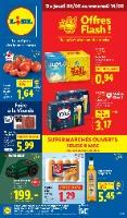 Catalogue Lidl en ligne du 08 au 14 mai 2025