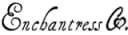 Store logo Enchantress Co.