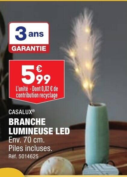 BRANCHE LUMINEUSE LED