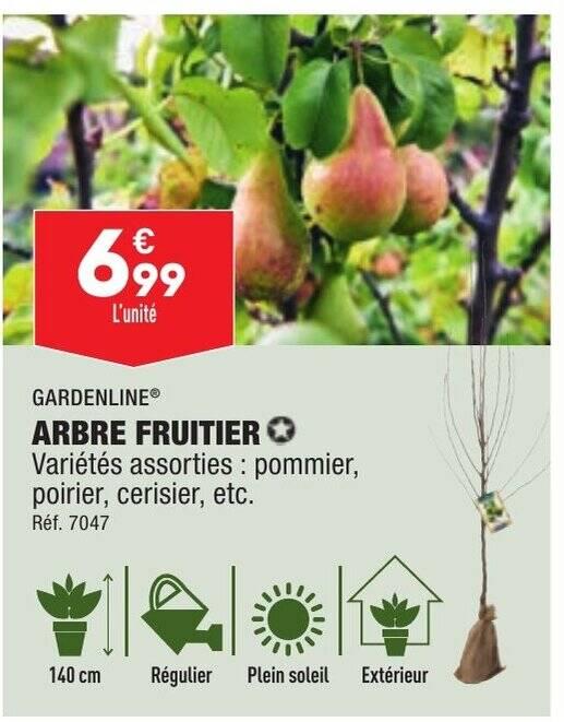 ARBRE FRUITIER ✪