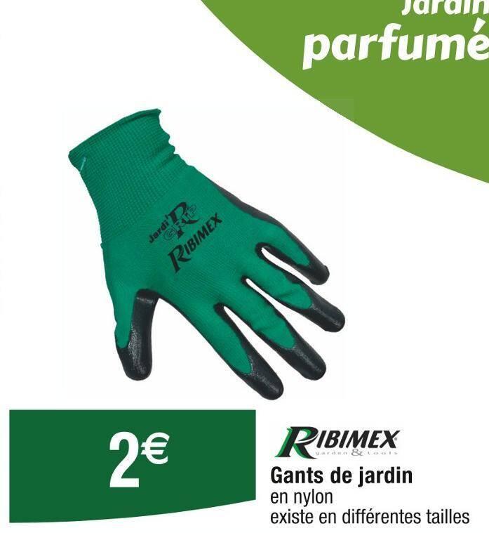 RIBIMEX Gants de jardin