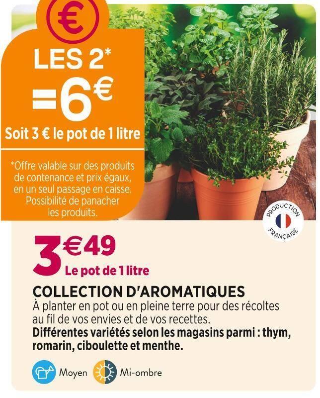 COLLECTION D'AROMATIQUES