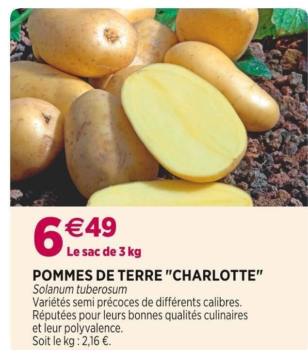 POMMES DE TERRE CHARLOTTE