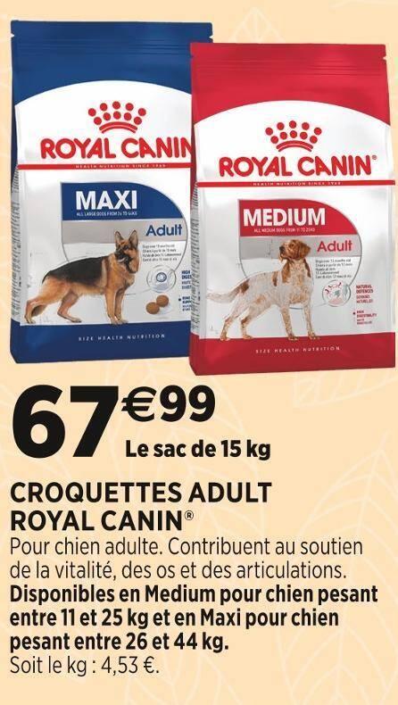 ROYAL CANIN CROQUETTES ADULT