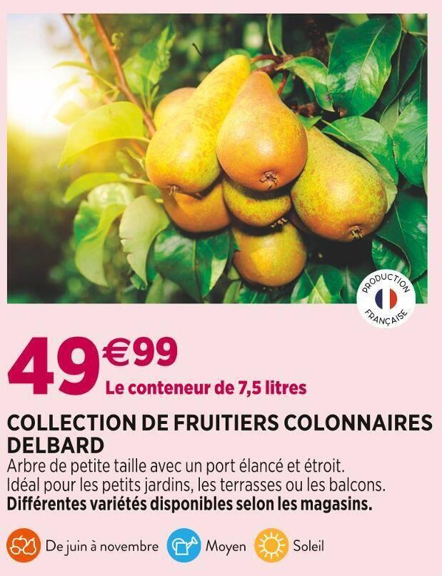 DELBARD COLLECTION DE FRUITIERS COLONNAIRES