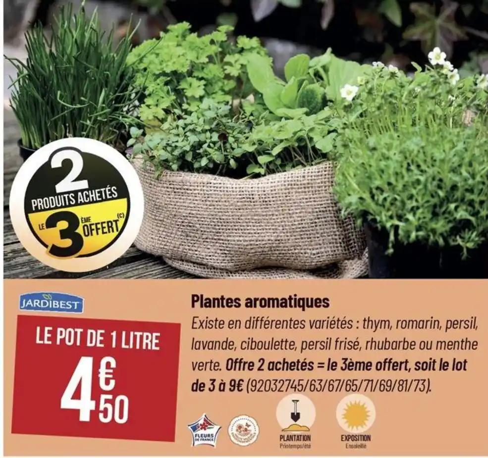 Plantes aromatiques