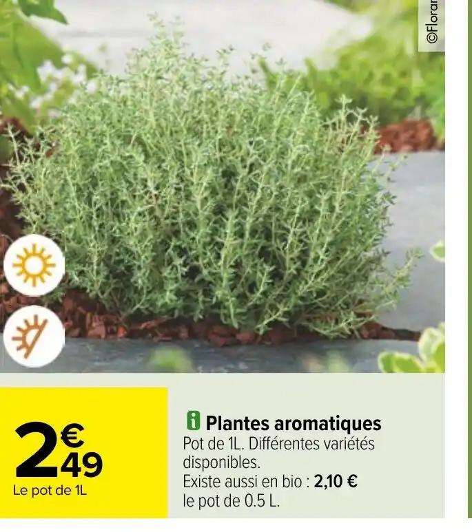 i Plantes aromatiques