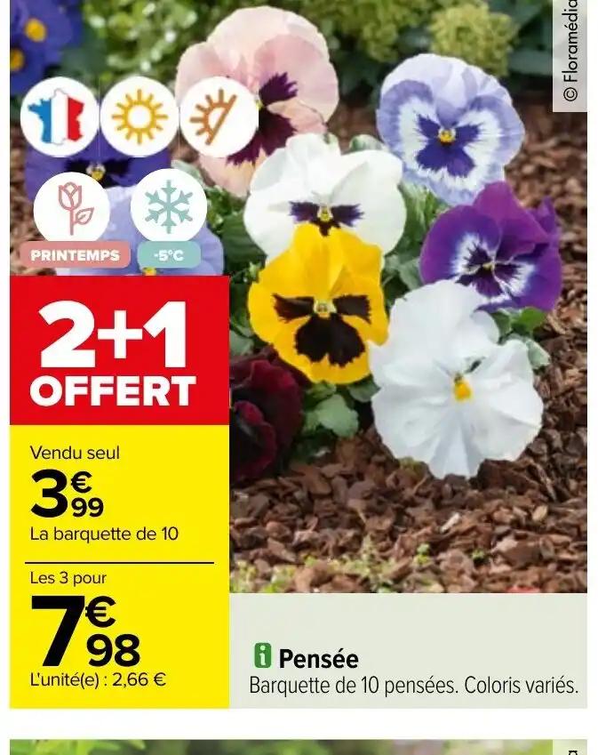 i Pensée