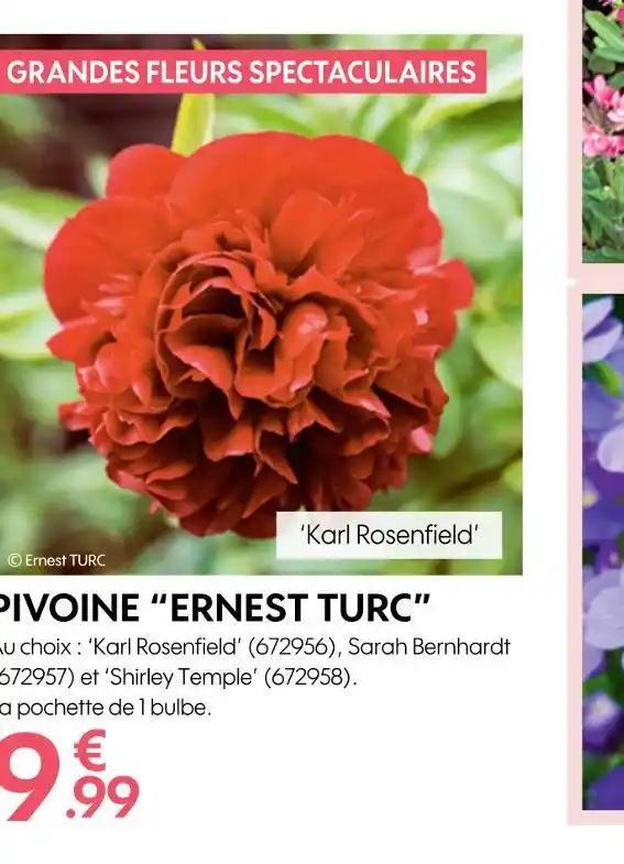 ERNEST TURC PIVOINE