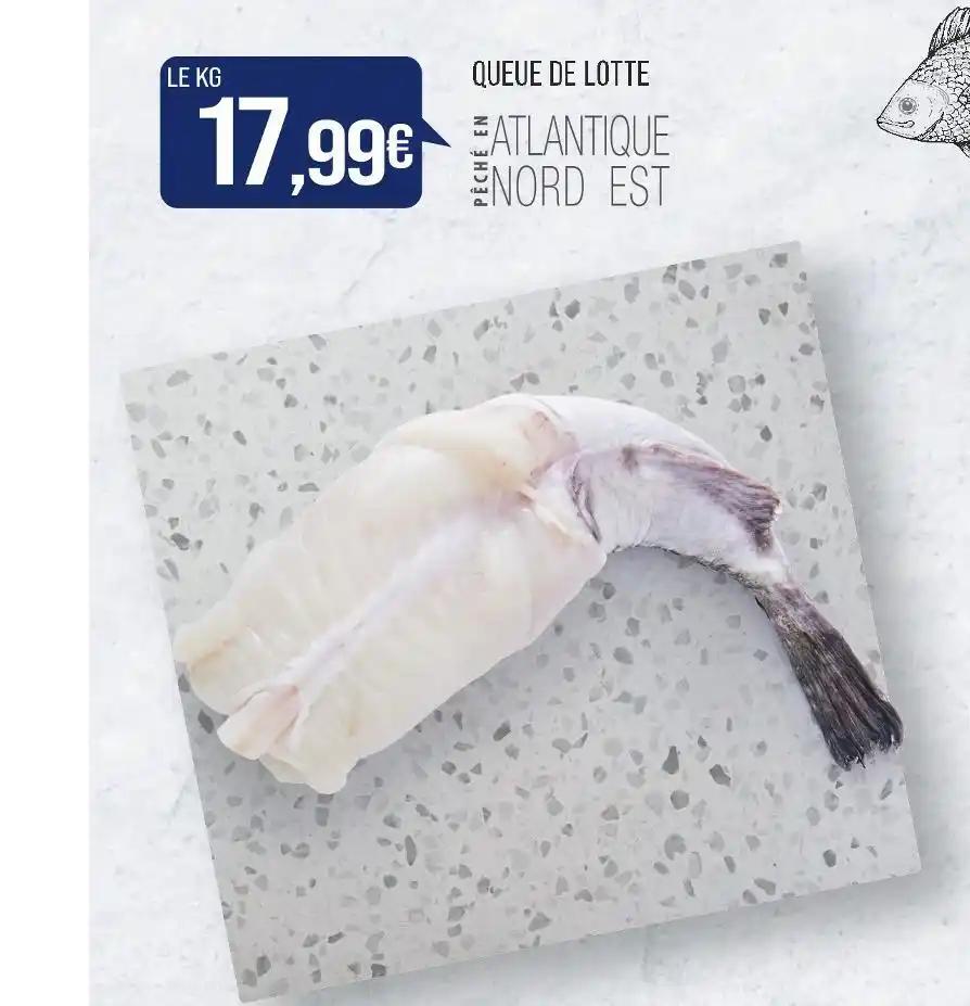 QUEUE DE LOTTE
