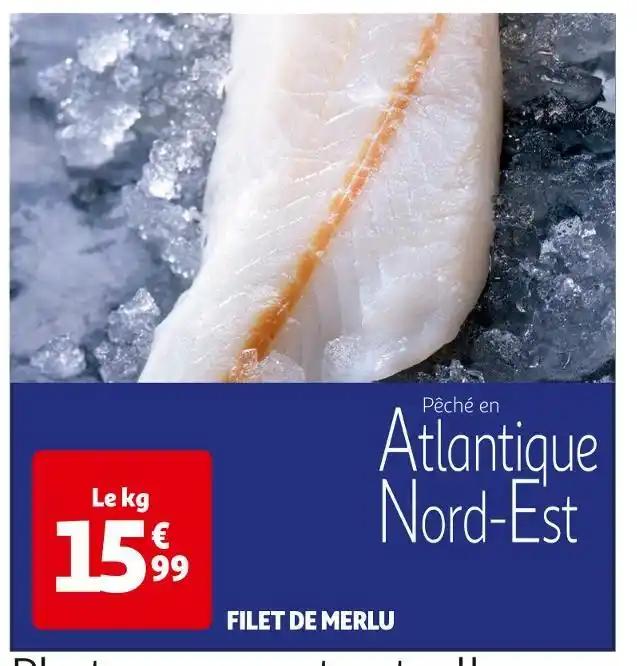 FILET DE MERLU