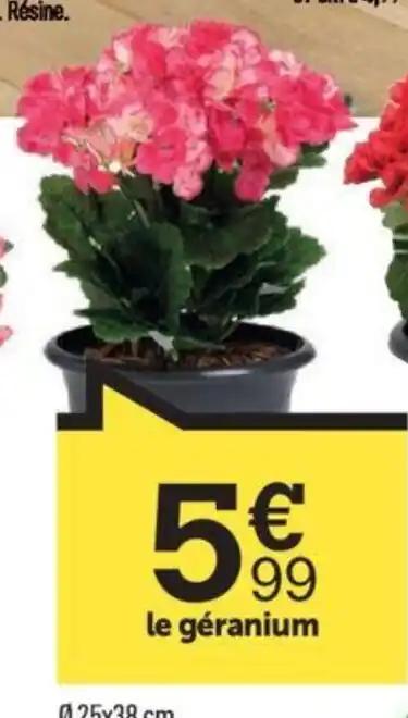 le géranium