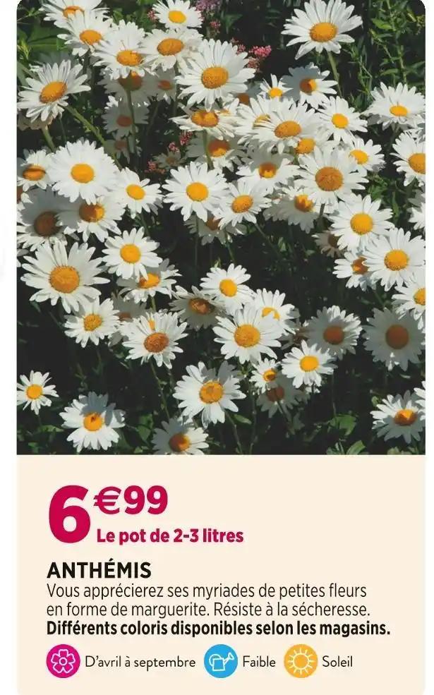ANTHÉMIS