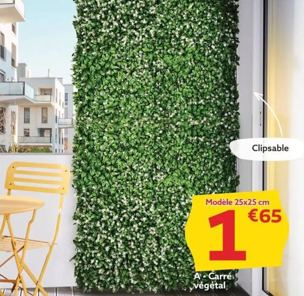A Carré végétal