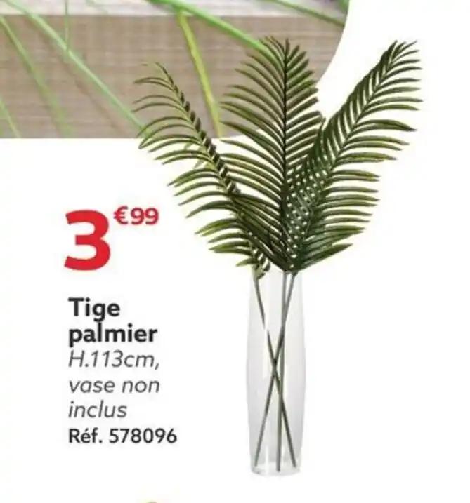 Tige palmier