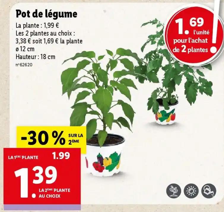 Pot de légume
