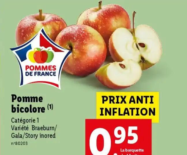 Pomme bicolore (1)