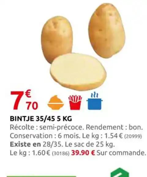 BINTJE 35/45 5 KG