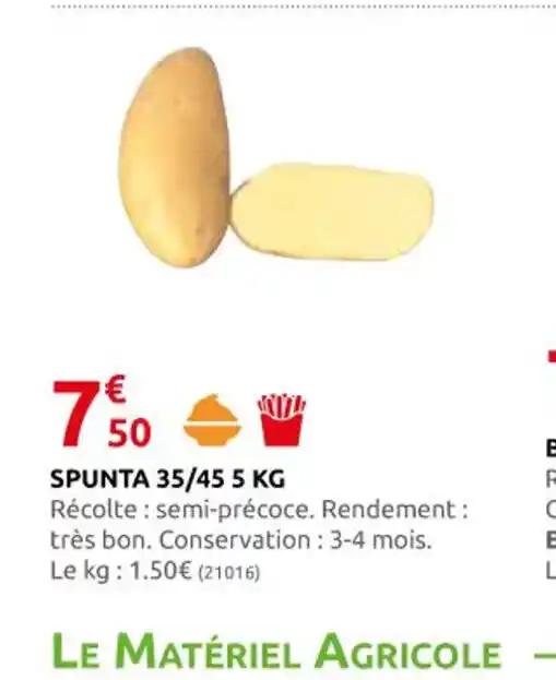 SPUNTA 35/45 5 KG