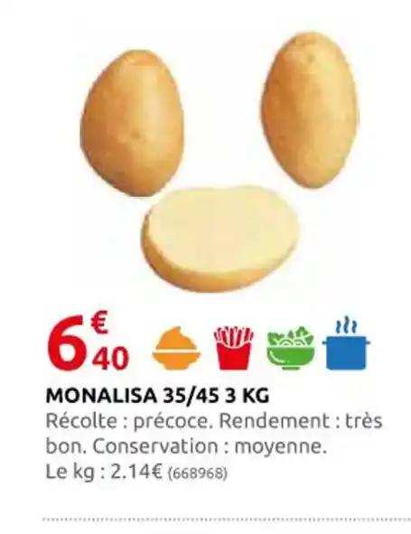 MONALISA 35/45 3 KG