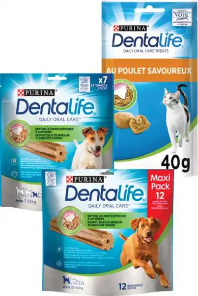 DENTALIFE SUR TOUT