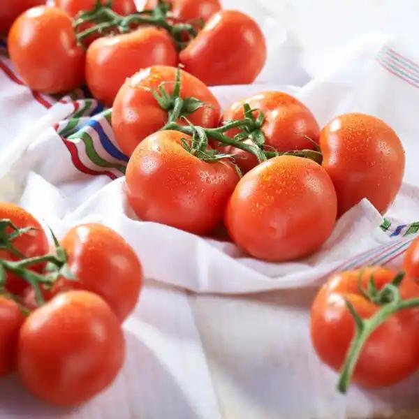 Tomate grappe
