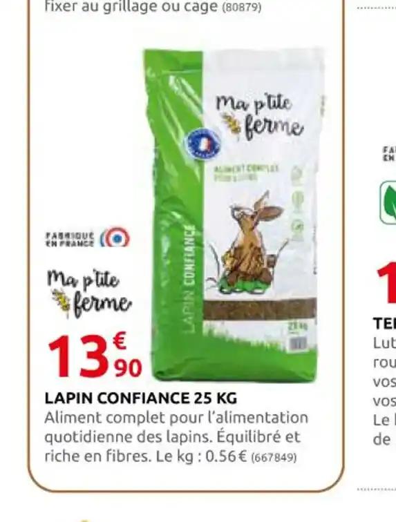 LAPIN CONFIANCE
