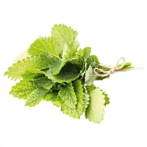 Menthe En Botte