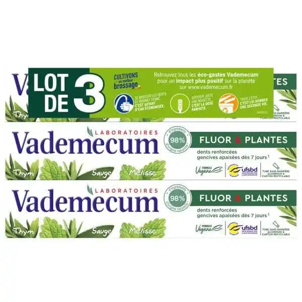 Dentifrice Vademecum