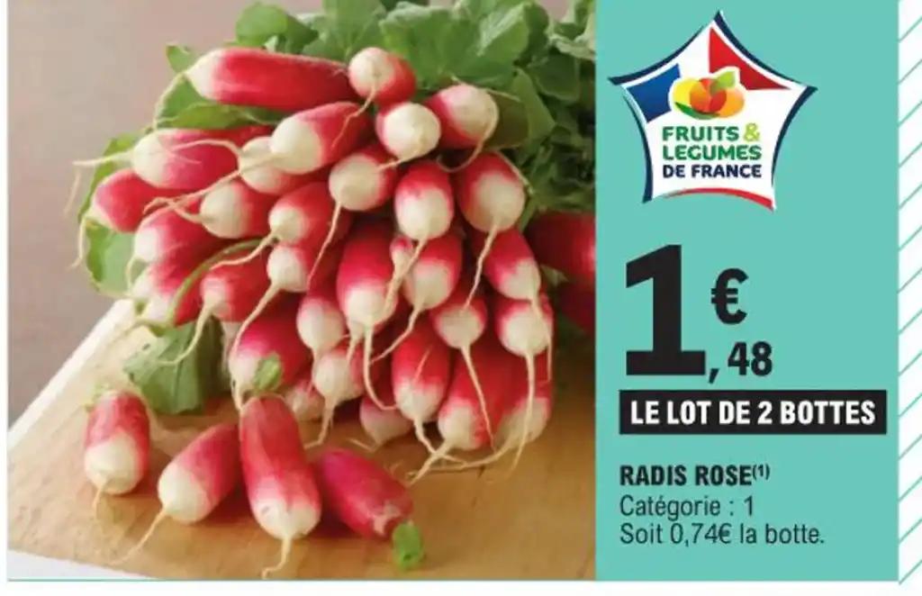 RADIS ROSE
