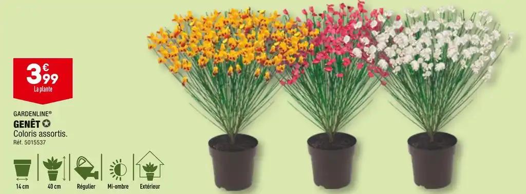 GARDENLINE GENÊT