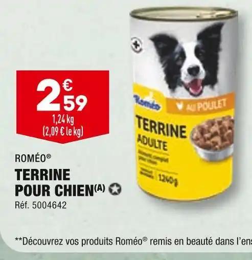 ROMÉO TERRINE POUR CHIEN