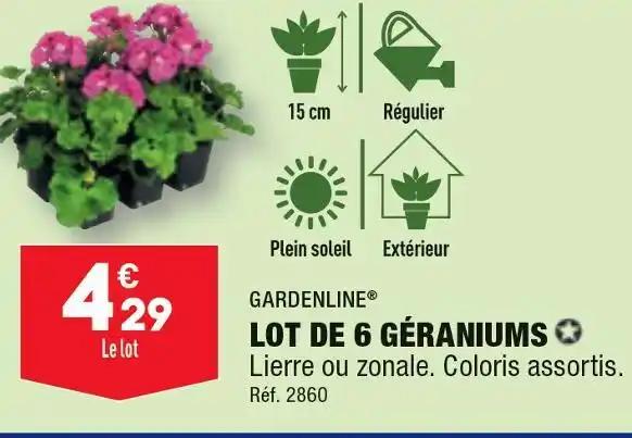 GARDENLINE LOT DE GÉRANIUM