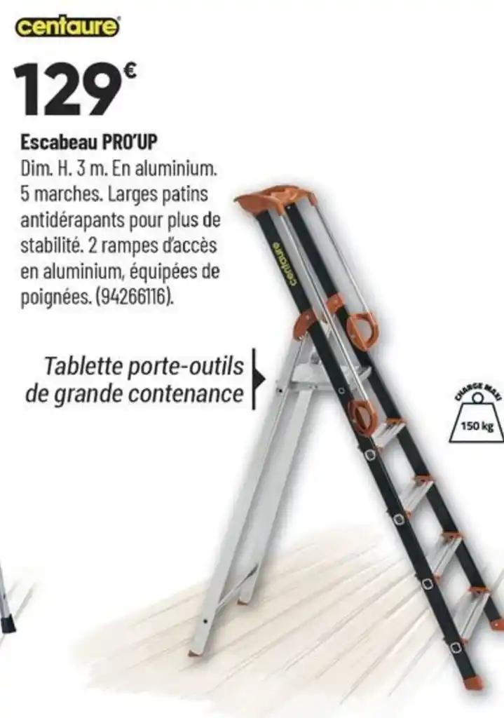 Escabeau PRO'UP