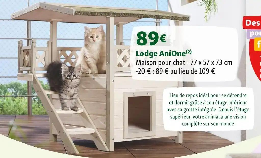 AniOne Lodge AniOne