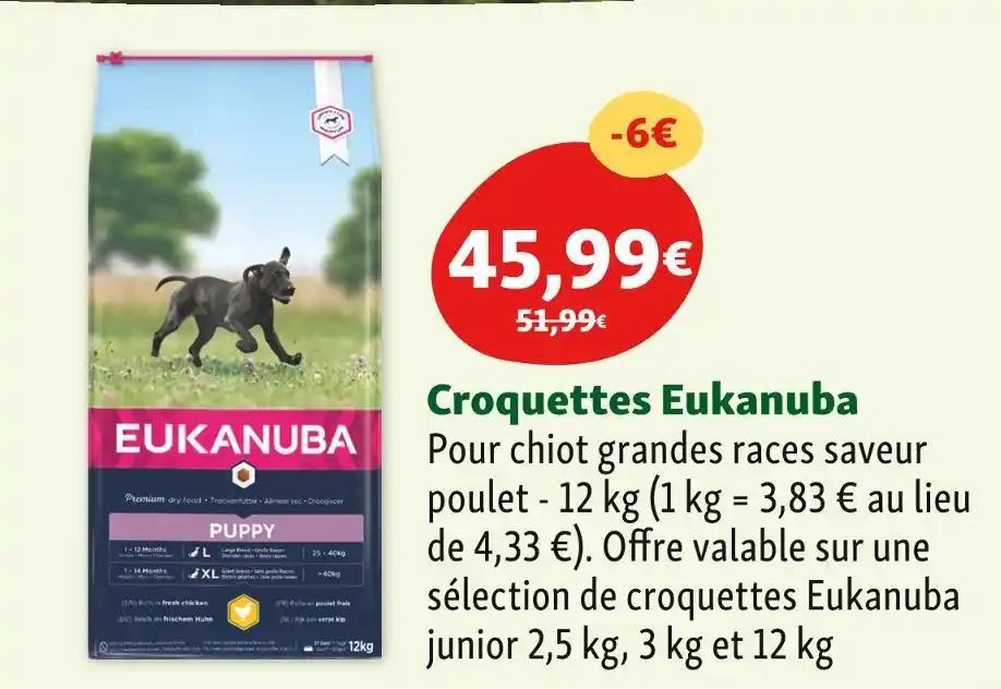 Eukanuba Croquettes