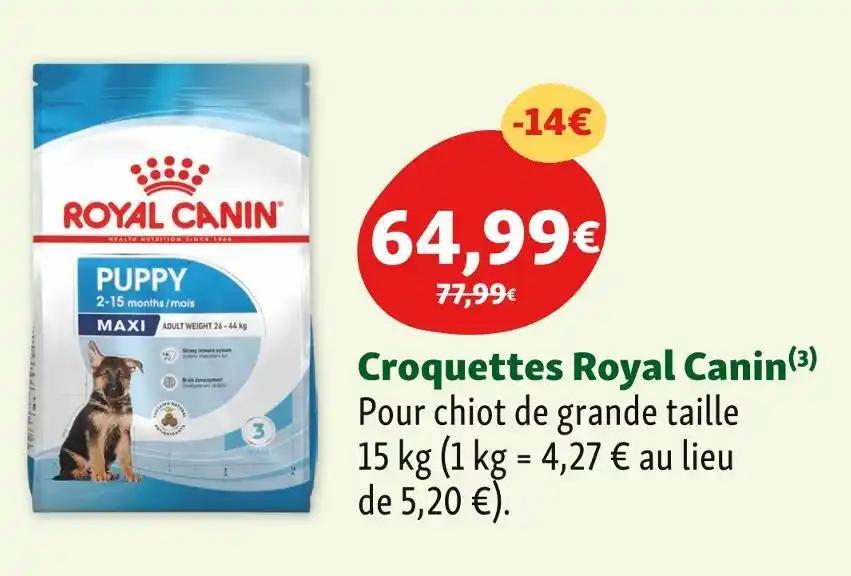 Royal Canin Croquettes