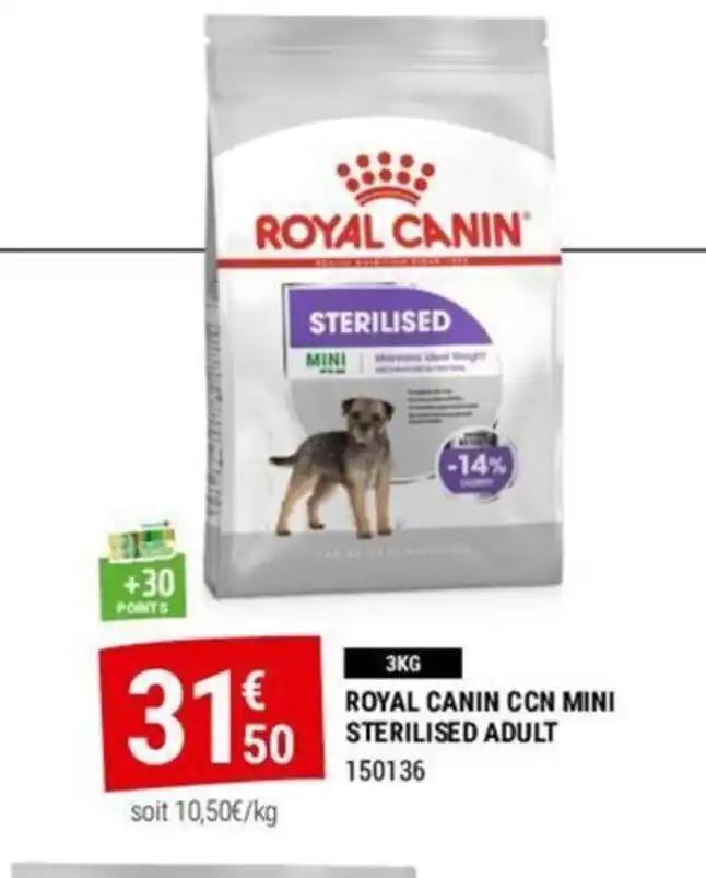 ROYAL CANIN CCN MINI