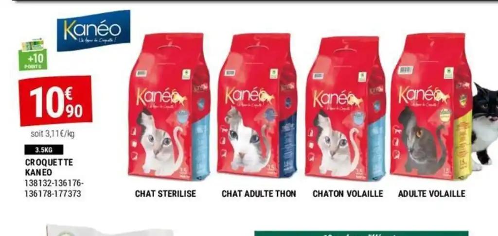 CROQUETTE KANEO