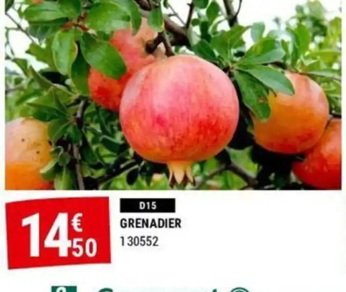 GRENADIER