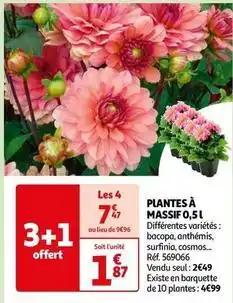 Plantes à massif 0,5l