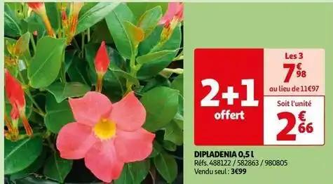 Dipladenia 0,5l