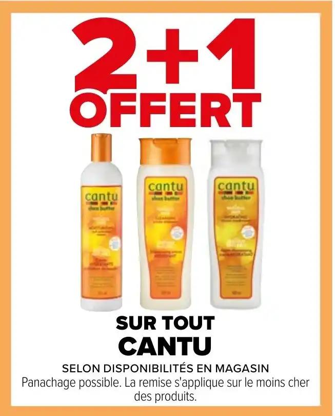 SUR TOUT CANTU