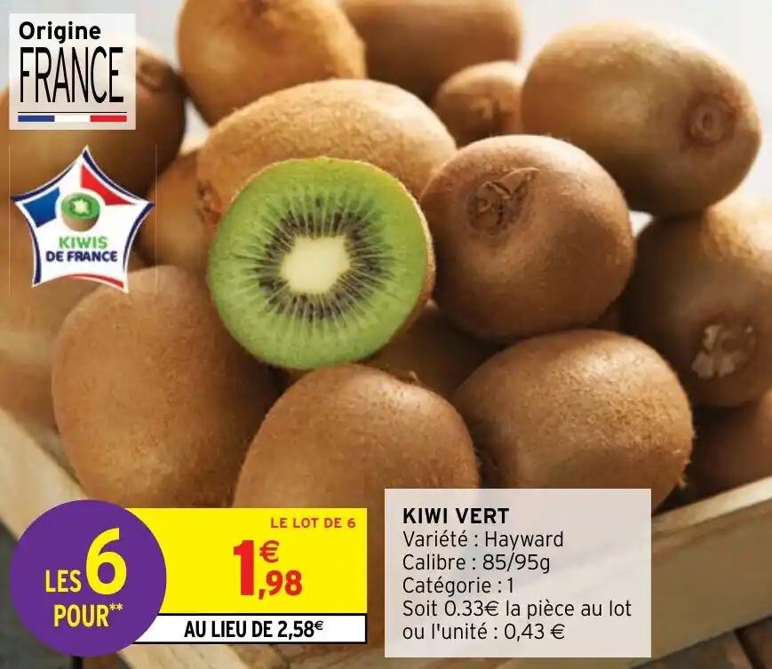 KIWI VERT