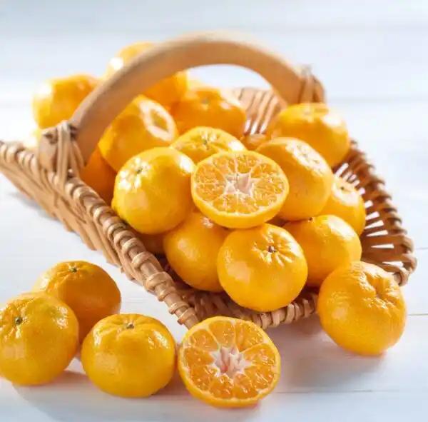 Mandarine