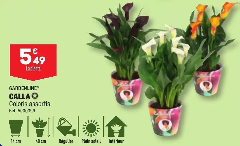 GARDENLINE® CALLA✪