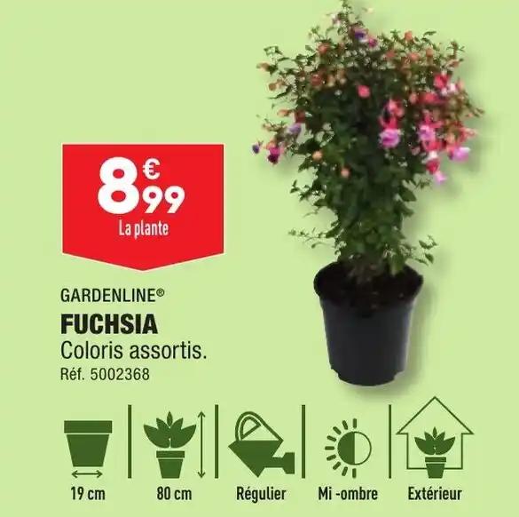GARDENLINE® FUCHSIA