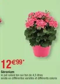 Géranium