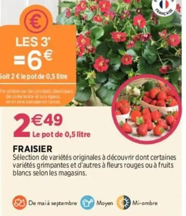 Fraisier