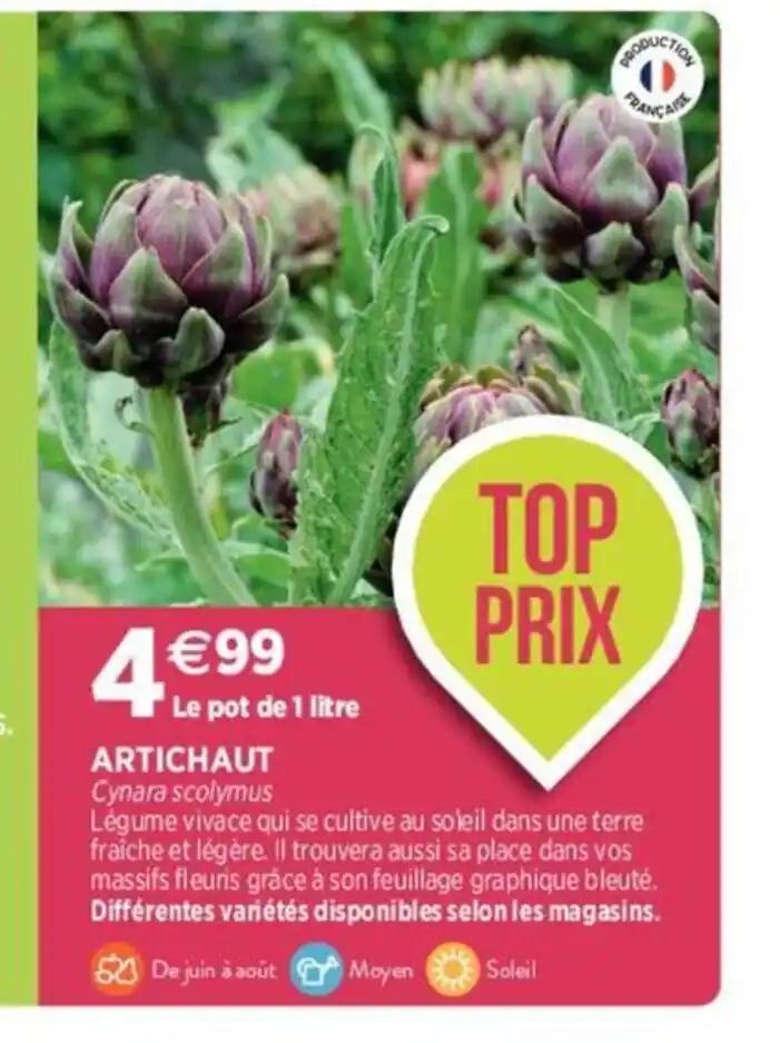 ARTICHAUT